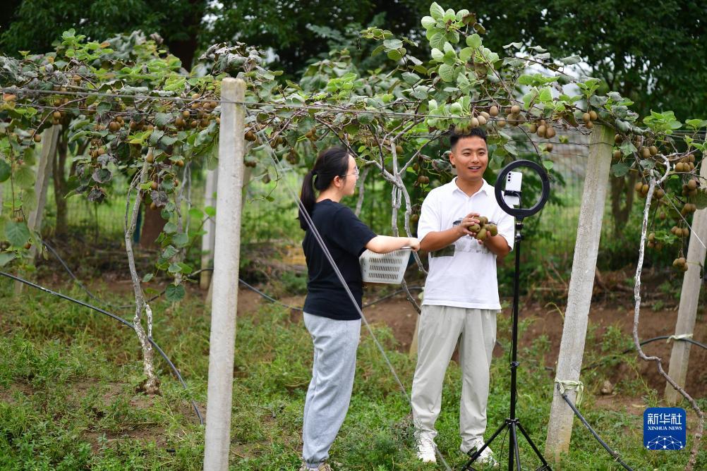 捕鱼达人游戏技巧